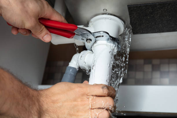 Best Water damage contractors near me  in Kailua, HI