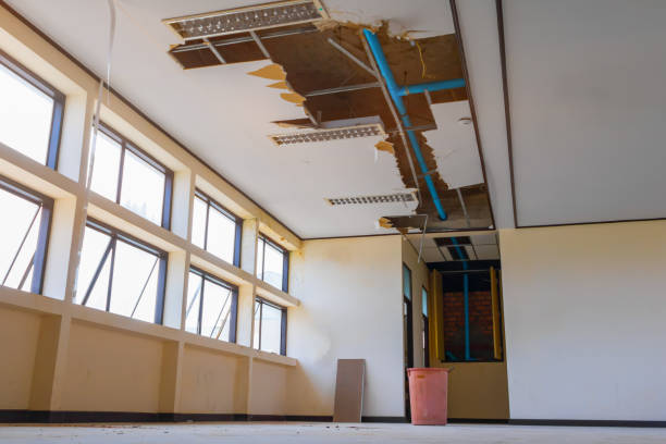Best 24-hour water damage restoration  in Kailua, HI