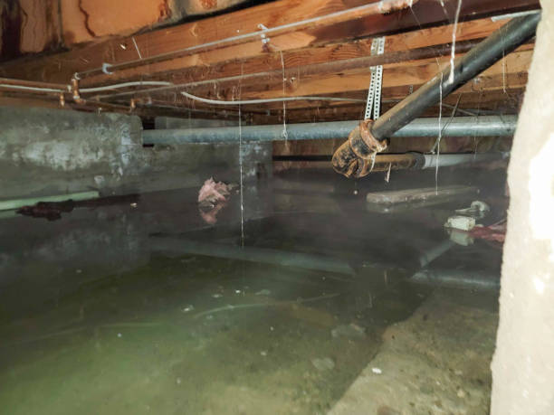 Best Ceiling water damage repair  in Kailua, HI