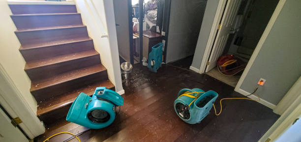 Best Basement water damage restoration  in Kailua, HI