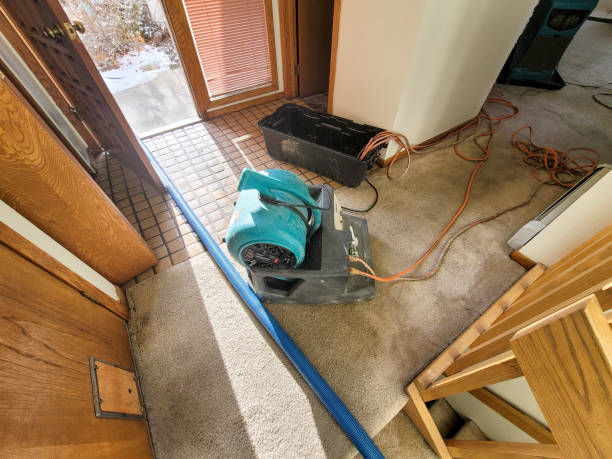 Best Flooded house restoration  in Kailua, HI