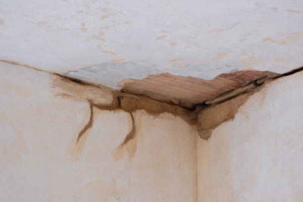 Best Professional water damage repair  in Kailua, HI