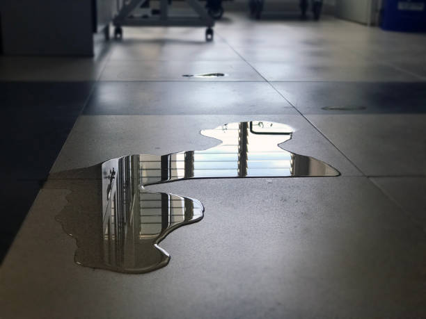 Best 24/7 water damage repair  in Kailua, HI