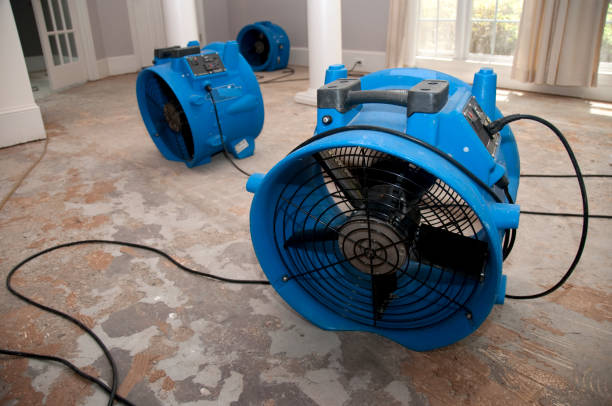 Best Local water damage restoration  in Kailua, HI
