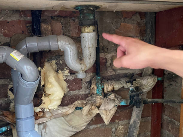 Best Water damage restoration near me  in Kailua, HI