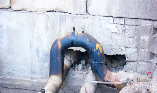 Best Water damage cleanup near me  in Kailua, HI