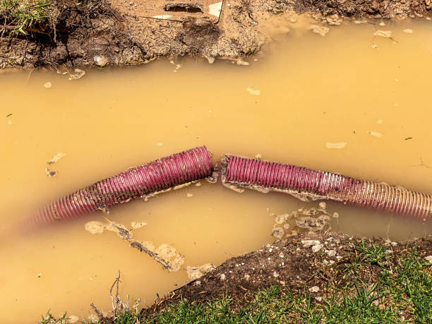 Best Flood restoration services  in Kailua, HI