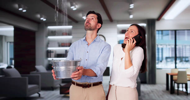 Best Flood damage cleanup  in Kailua, HI